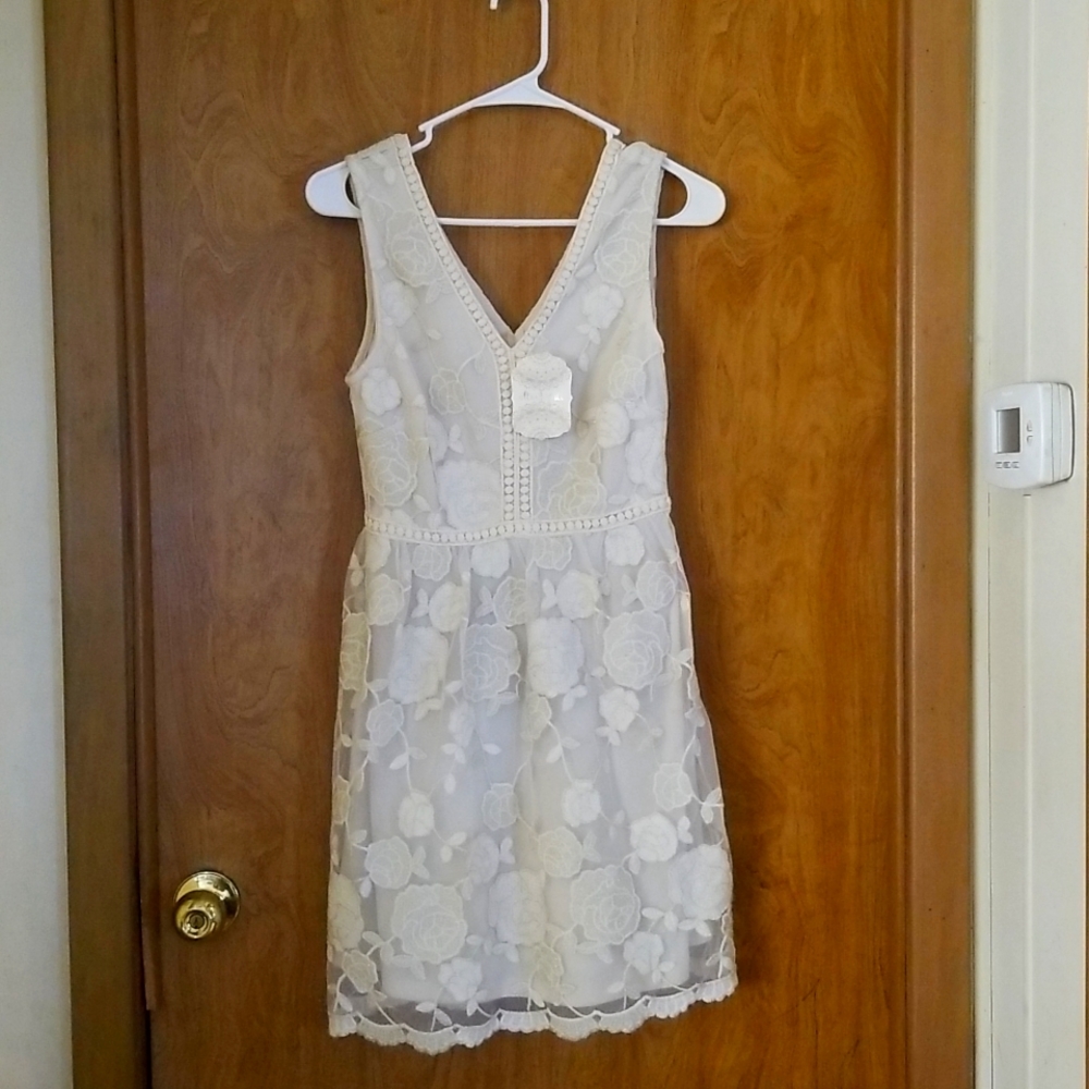 NWT Altar'd State Dress